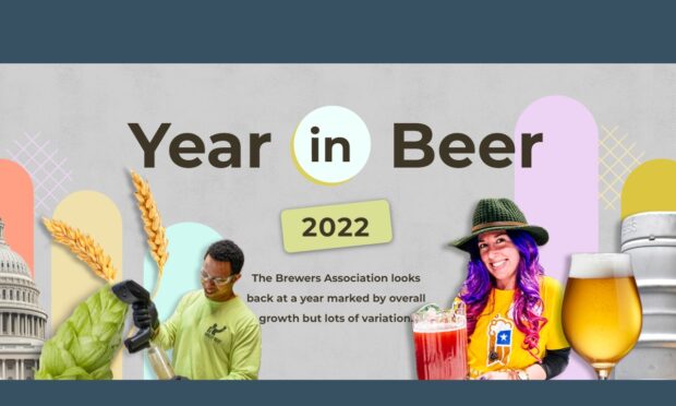 Year in Beer