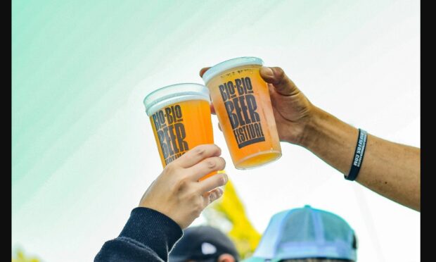 Biobío Beer Festival