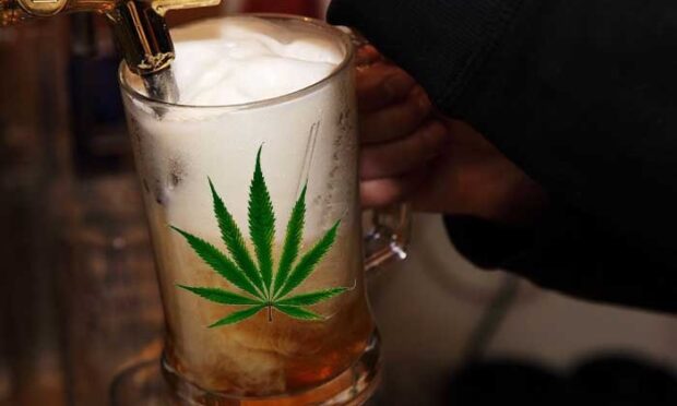 Cervecería de Cipolletti revoluciona el mercado con sus IPAS de cannabis